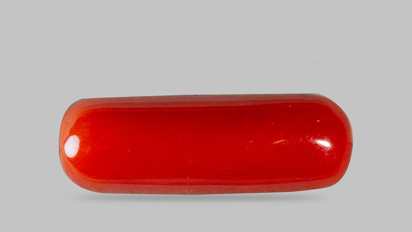 Natural Italian Red Coral (Moonga) 8.59 Carats