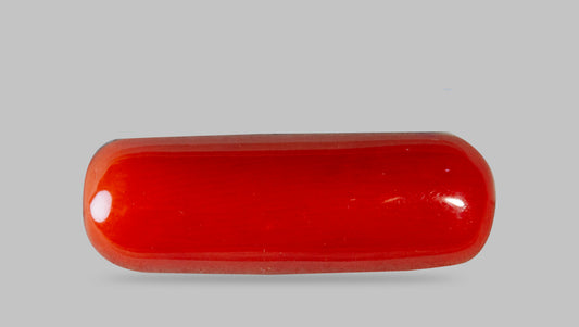 Natural Italian Red Coral (Moonga) 8.59 Carats