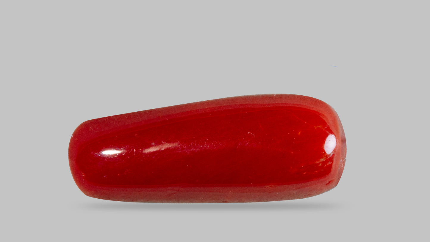 NATURAL RED CORAL (MOONGA) 7.04 CARATS