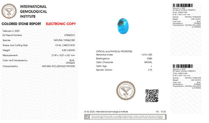 Natural Turquoise (Firoza) 8.89 Carats