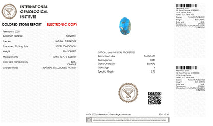 Natural Turquoise (Firoza) 8.61 Carats