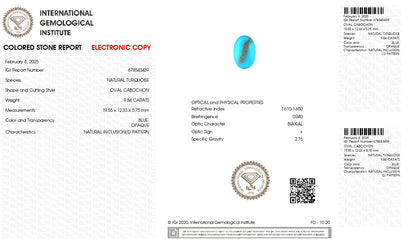 Natural Turquoise (Firoza) 9.84 Carats