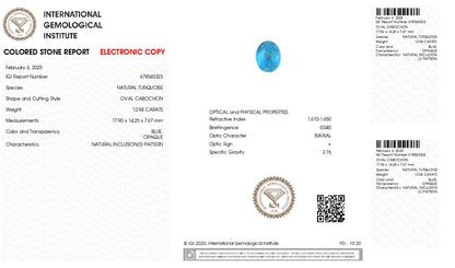 Natural Turquoise (Firoza) 12.94 Carats