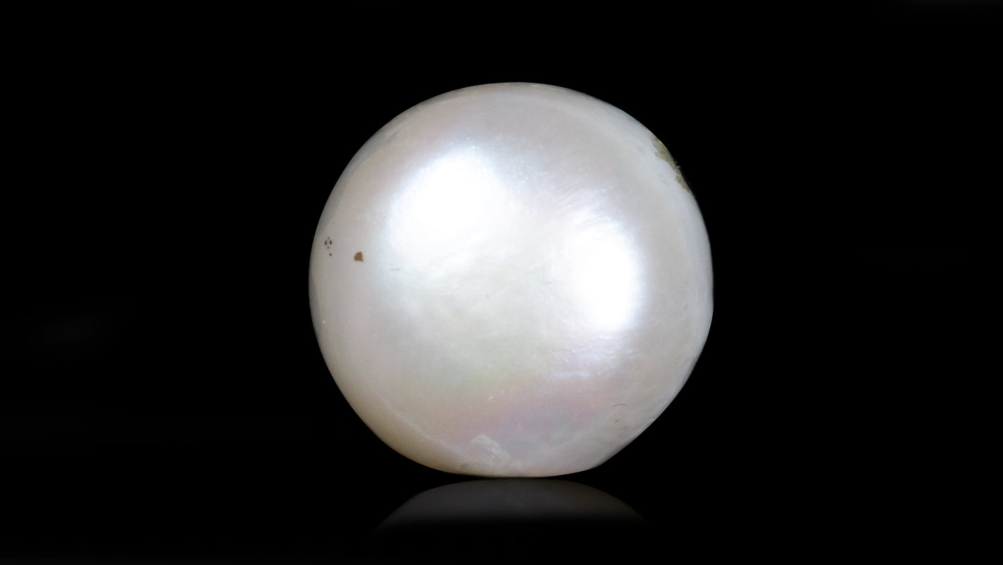 Fresh Water Pearl (Moti) 7.80 Carats