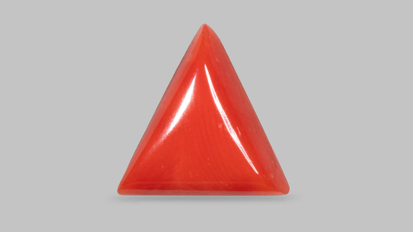 NATURAL RED CORAL (MOONGA) 6.20 CARATS
