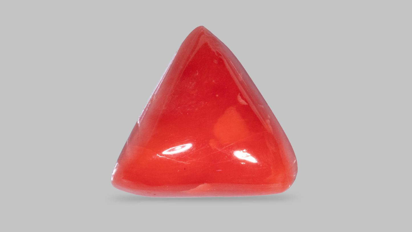 Natural Red Coral (Moonga) 8.65  Carats