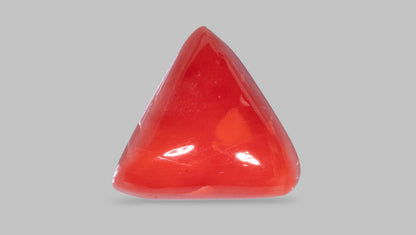 Natural Red Coral (Moonga) 8.65  Carats