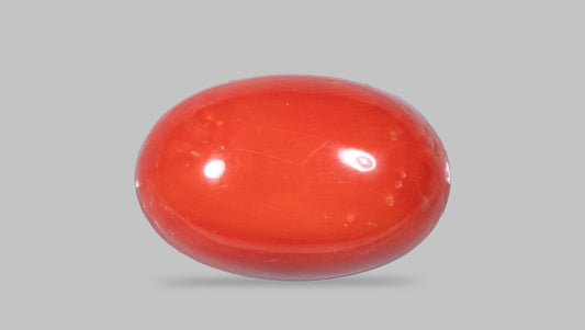 Natural Italian Red Coral (Moonga) 12.24 Carats