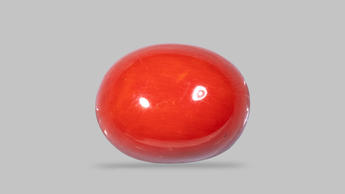 Natural Italian Red Coral (Moonga) 13.26 Carats