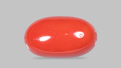 Natural Italian Red Coral (Moonga) 11.50 Carats