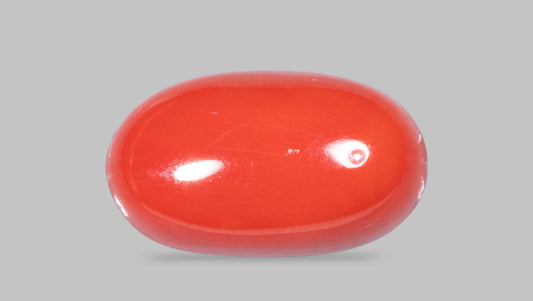 Natural Italian Red Coral (Moonga) 11.50 Carats
