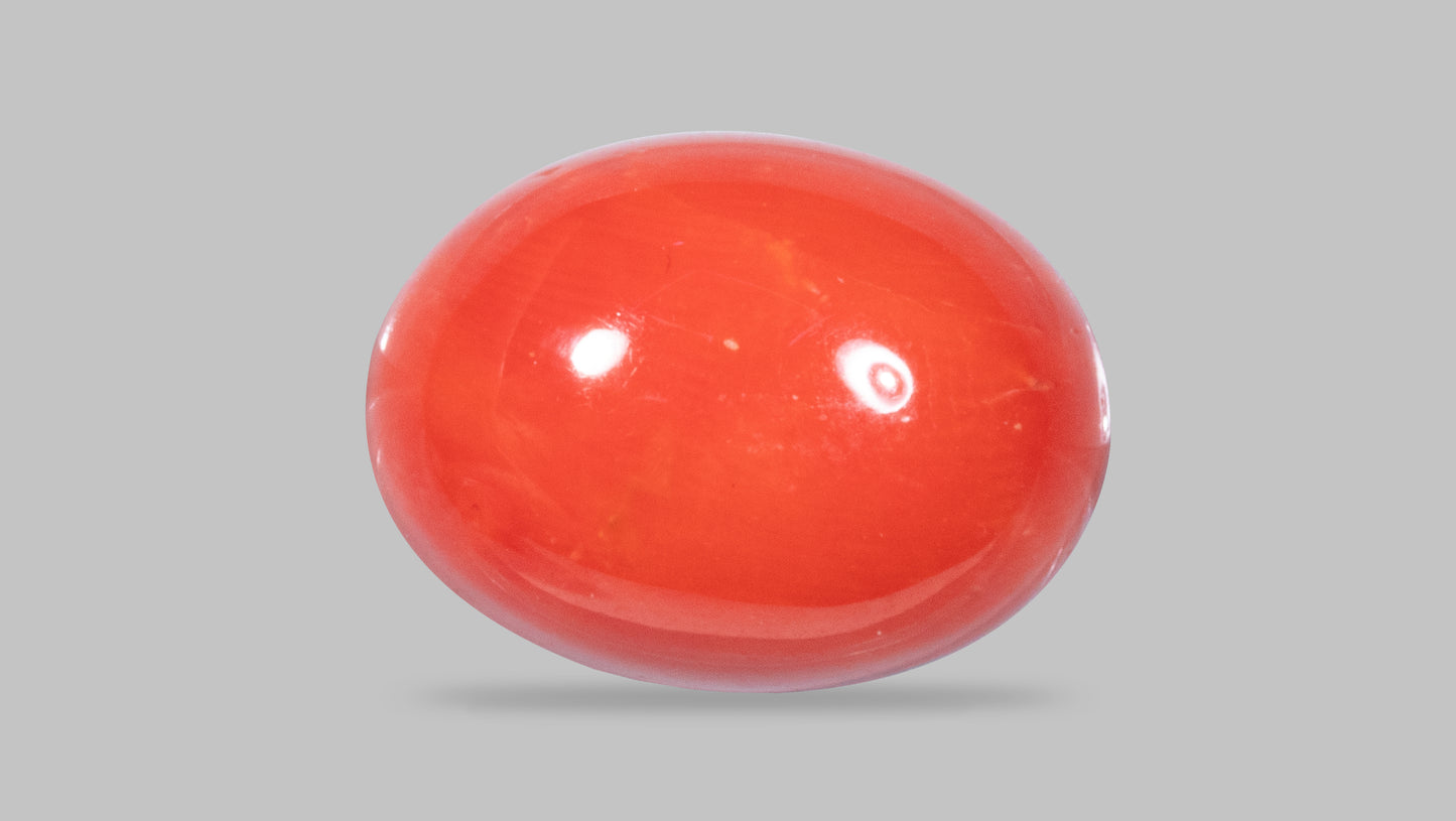 Natural Italian Red Coral (Moonga) 12.22 Carats