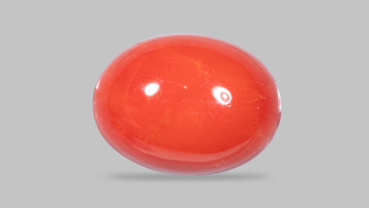 Natural Italian Red Coral (Moonga) 12.22 Carats