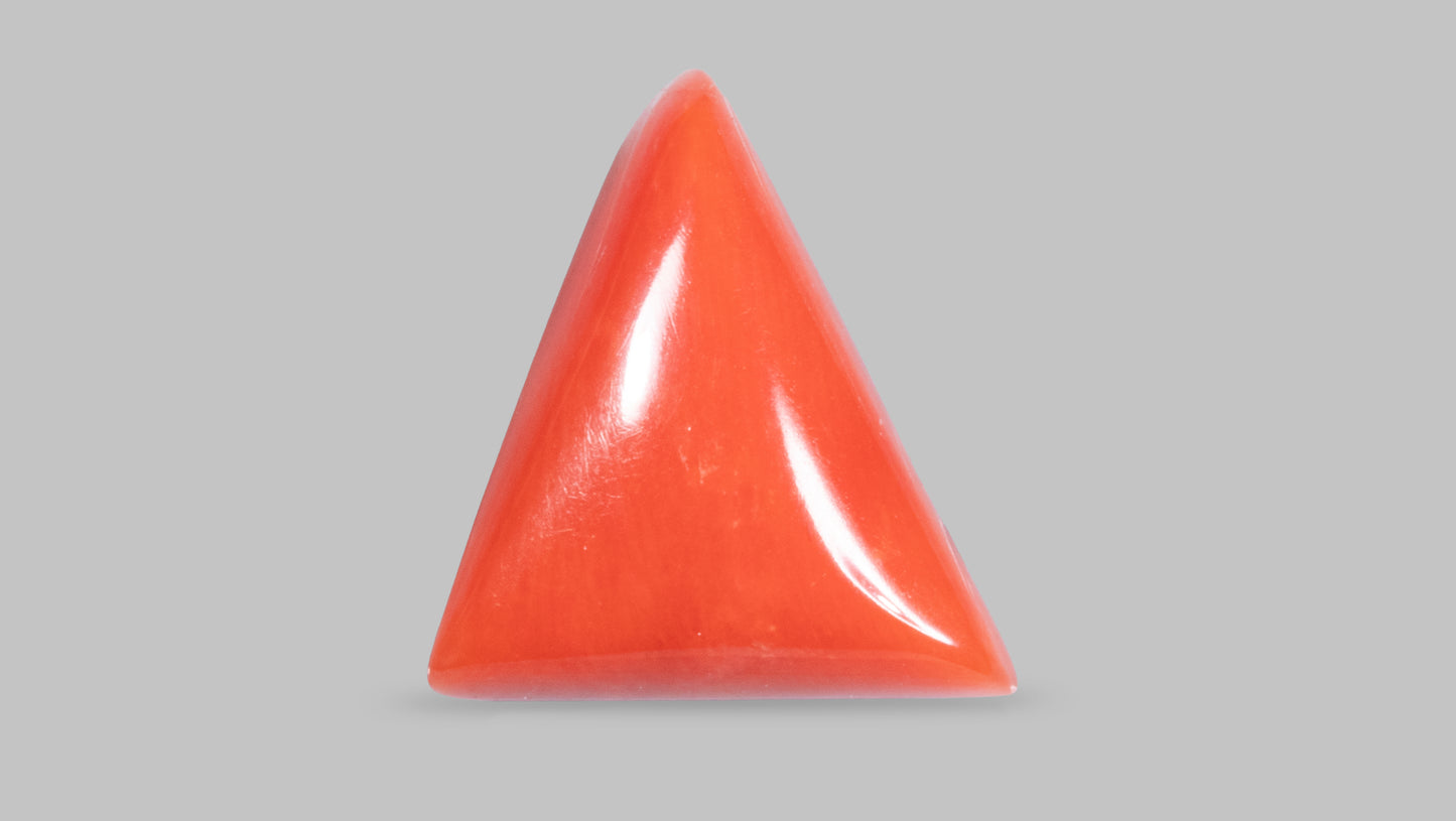Natural Italian Red Coral (Moonga) 9.06 Carats