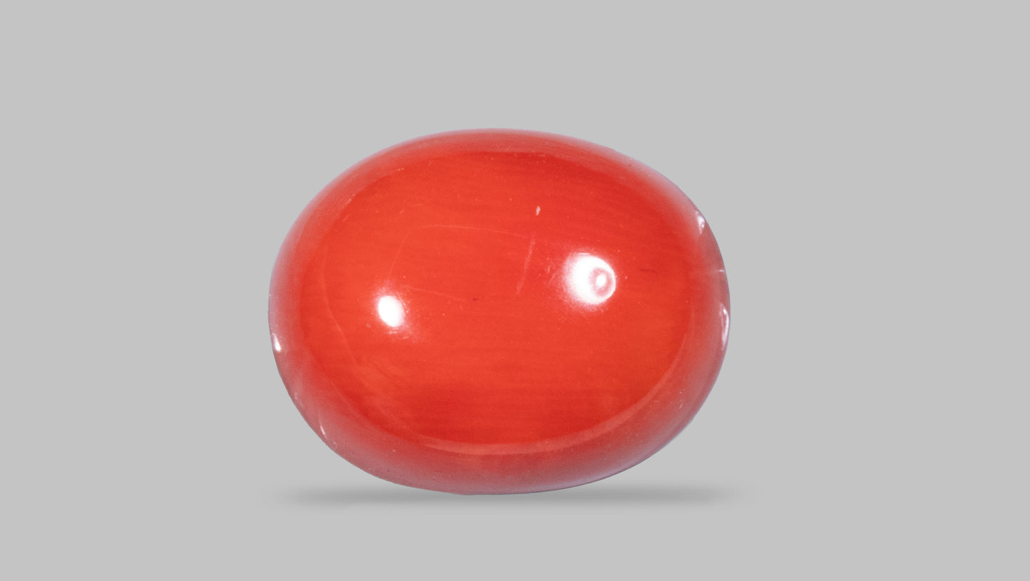 Natural Italian Red Coral (Moonga) 8.78 Carats