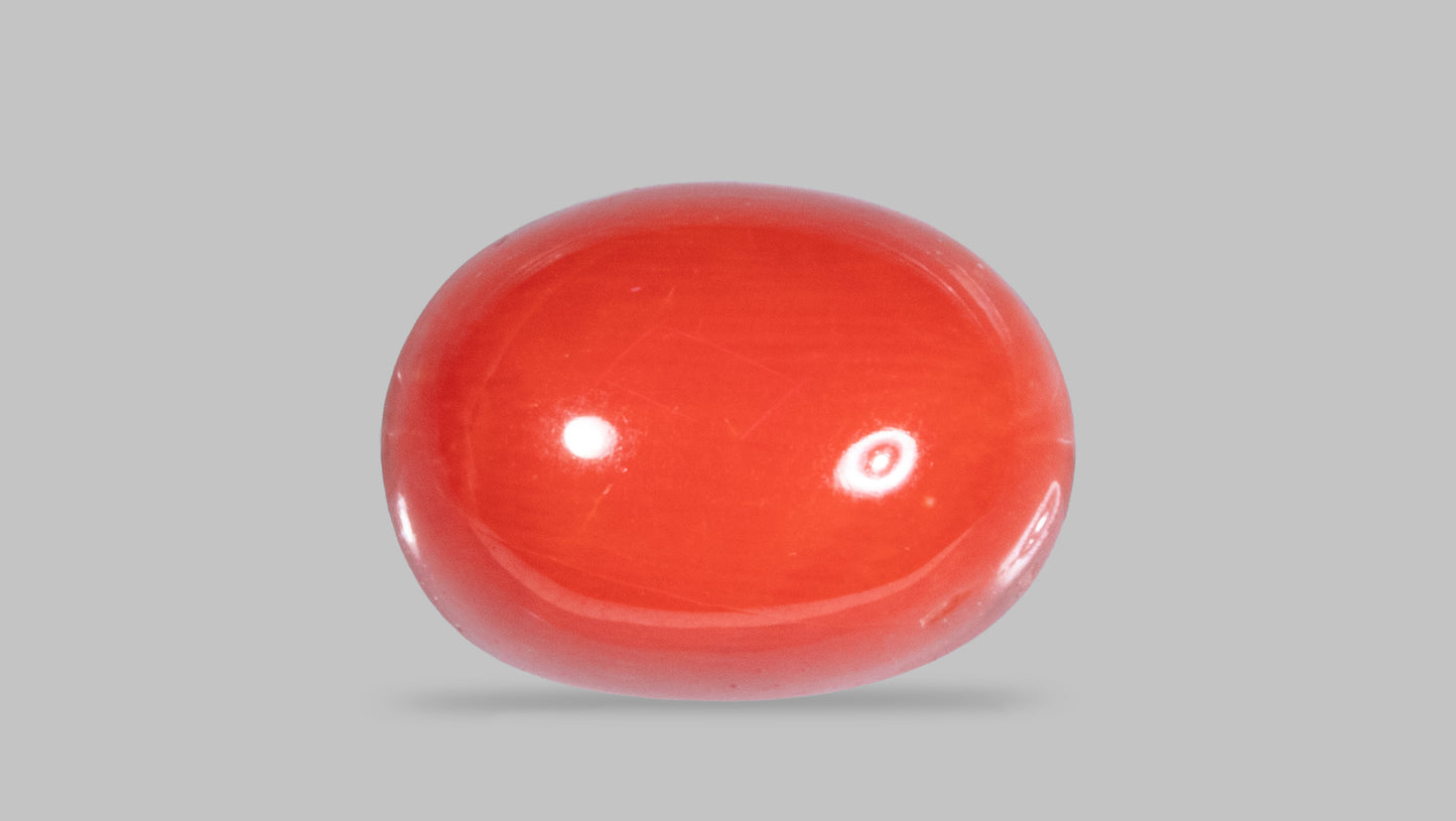 Natural Red Coral (Moonga) 8.27 Carats