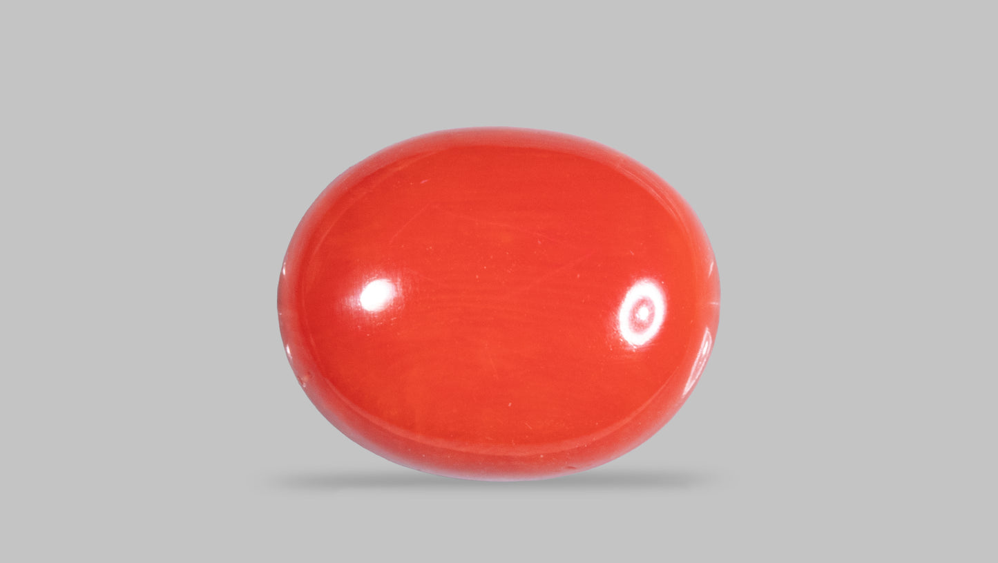 Natural Italian Red Coral (Moonga) 10.38 Carats