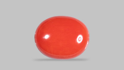 Natural Italian Red Coral (Moonga) 10.38 Carats