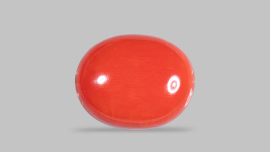 Natural Italian Red Coral (Moonga) 10.38 Carats