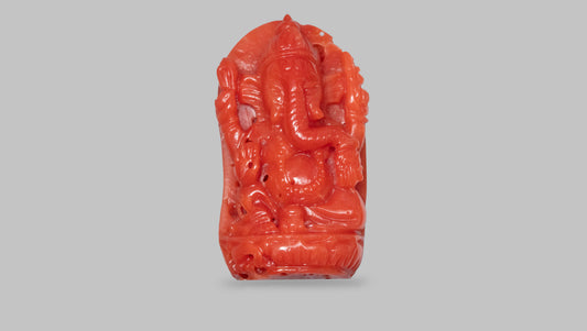 Japanese Ganesh Carving Red Coral(Moonga) 15.67 Carats