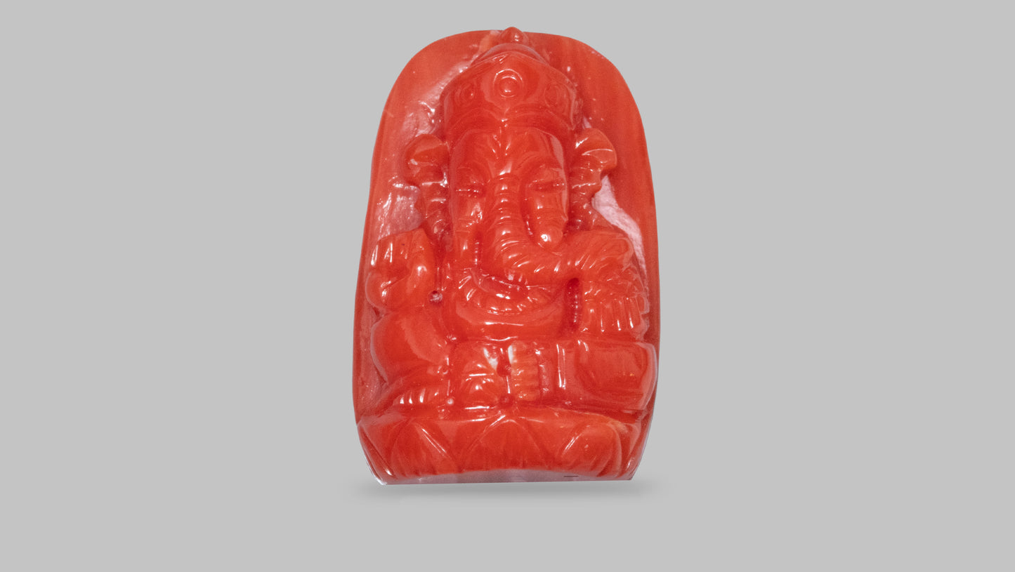 Japanese Ganesh Carving Red Coral(Moonga) 12.97 Carats