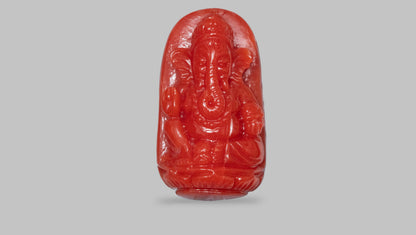 Japanese Ganesh Carving Red Coral(Moonga) 22.51 Carats