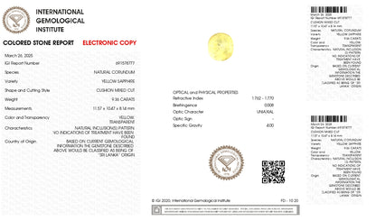 Natural Yellow Sapphire (Pukhraj) 9.36 Carats