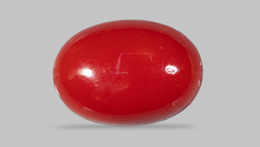 Japanese Red Coral (Moonga) 5.57 Carats