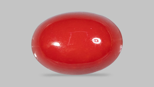 JAPANESE RED CORAL(MOONGA) 5.45 CARATS