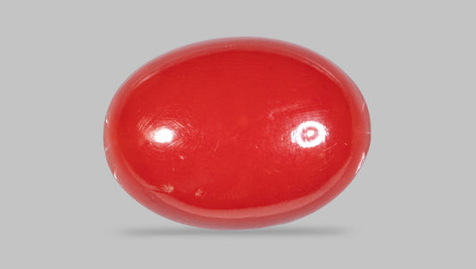 Japanese Red Coral(Moonga) 5.54 Carats
