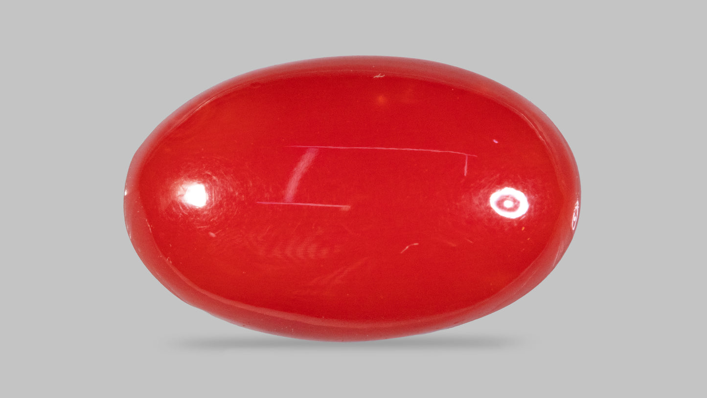 JAPANESE RED CORAL(MOONGA) 5.84 CARATS