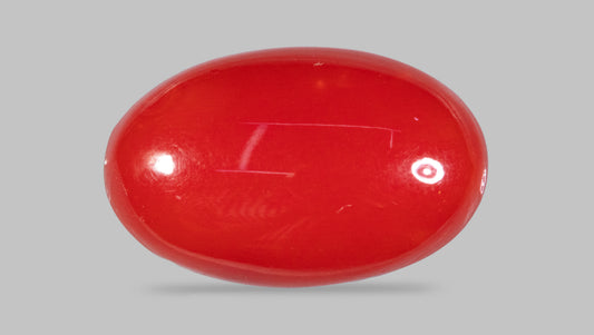 JAPANESE RED CORAL(MOONGA) 5.84 CARATS