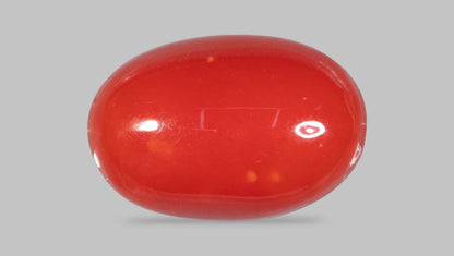 Japanese Red Coral(Moonga) 5.84 Carats