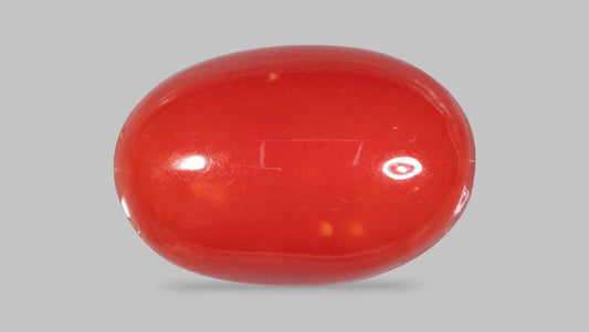 Japanese Red Coral(Moonga) 5.84 Carats