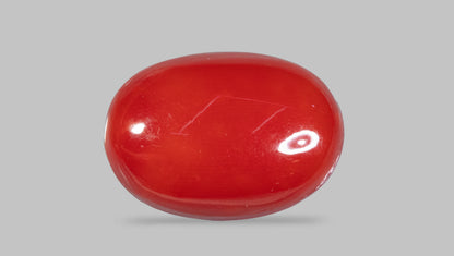 Japanese Red Coral(Moonga) 5.47 Carats