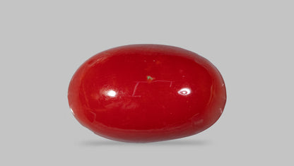 Japanese Red Coral(Moonga) 5.58 Carats