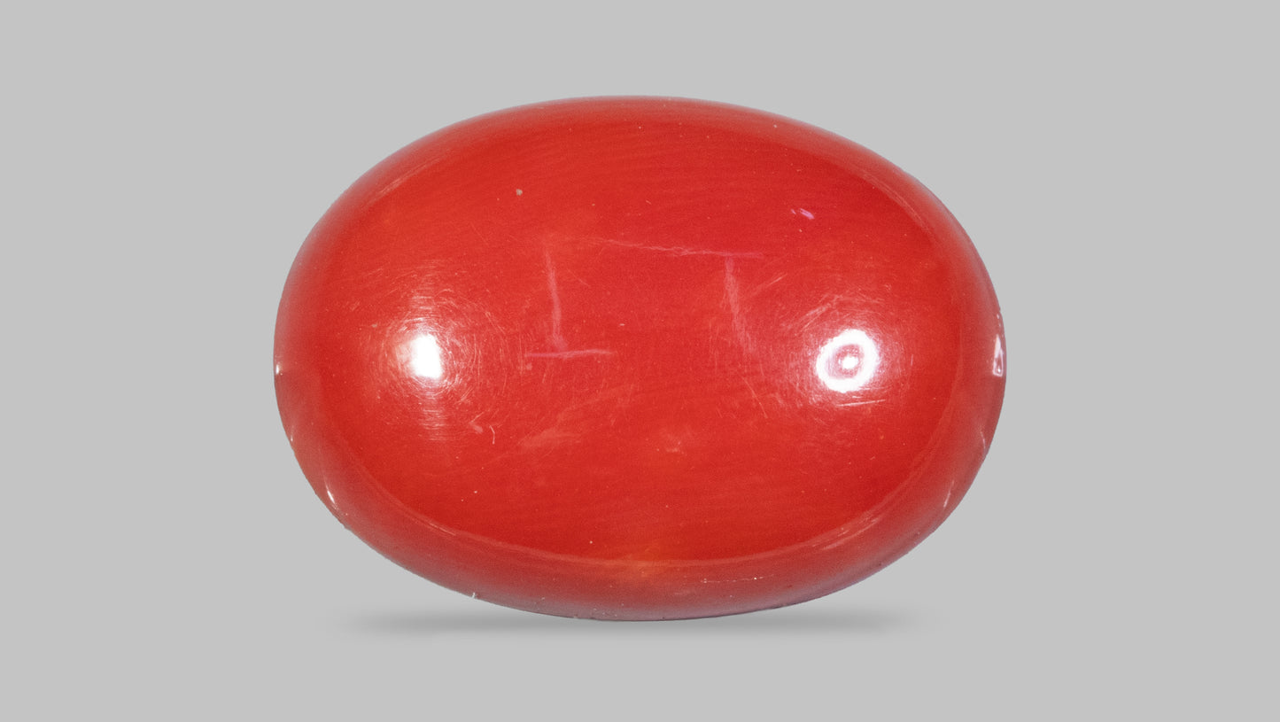 Japanese Red Coral(Moonga) 6.30 Carats