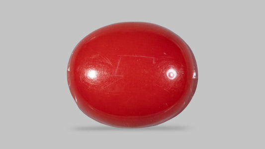 Japanese Red Coral (Moonga) 4.64 Carats