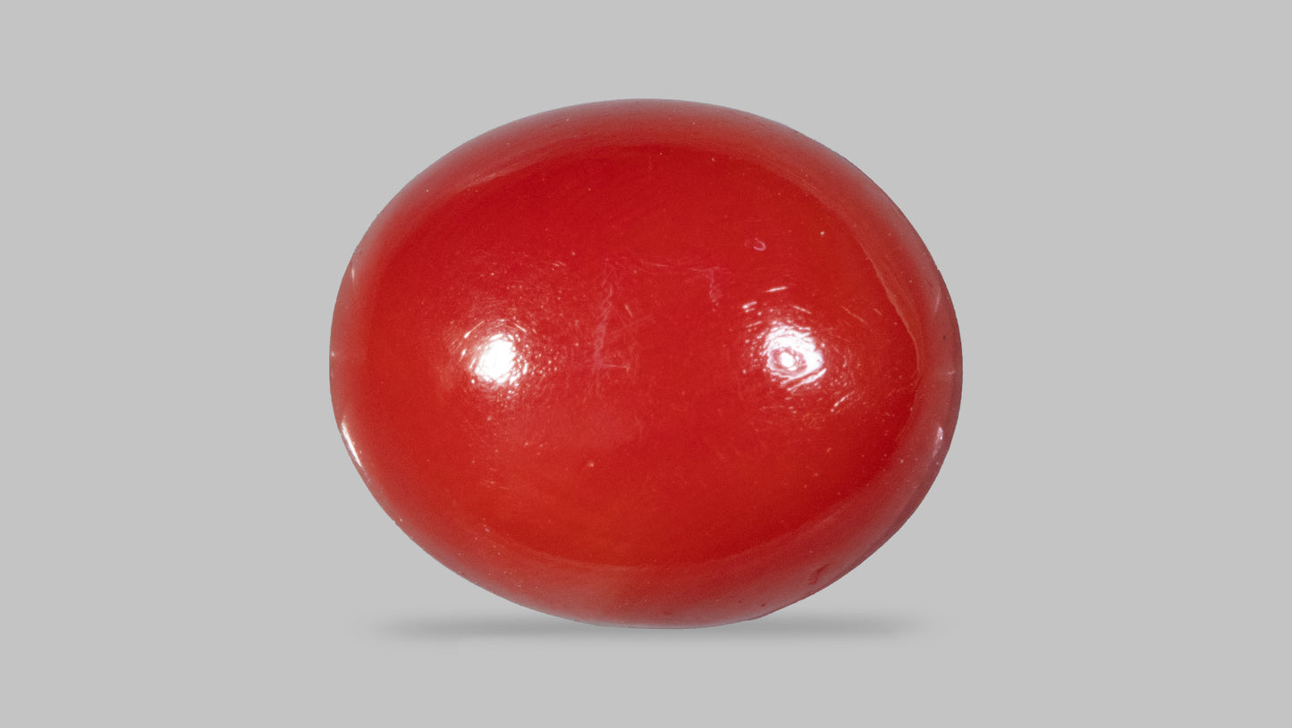 Japanese Red Coral(Moonga) 4.26 Carats