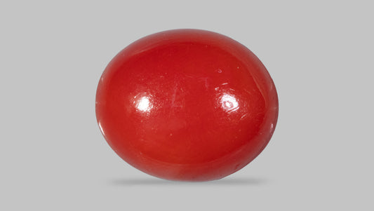 Japanese Red Coral(Moonga) 4.26 Carats