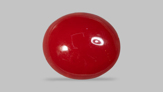 Japanese Red Coral(Moonga) 4.39 Carats