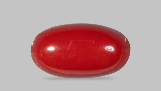 Japanese Red Coral(Moonga) 4.71 Carats