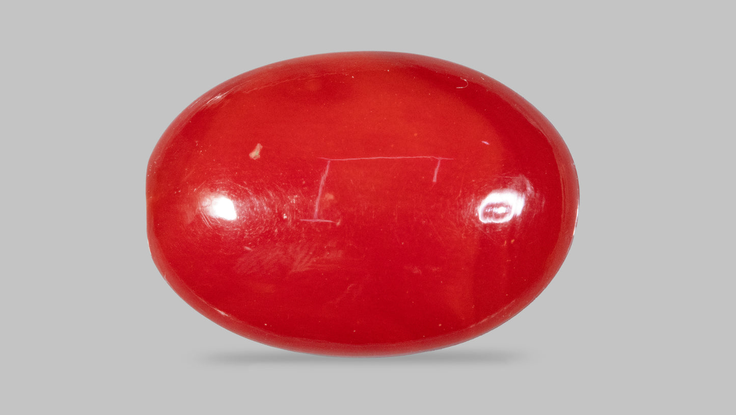Japanese Red Coral(Moonga) 4.48 Carats