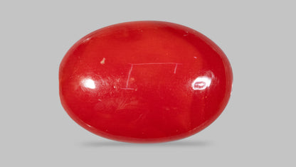 Japanese Red Coral(Moonga) 4.48 Carats