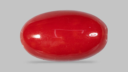 Japanese Red Coral(Moonga) 4.83 Carats