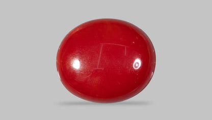Japanese Red Coral(Moonga) 4.90 Carats