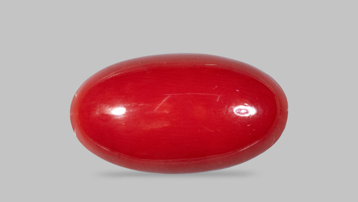 Japanese Red Coral(Moonga) 5.11 Carats