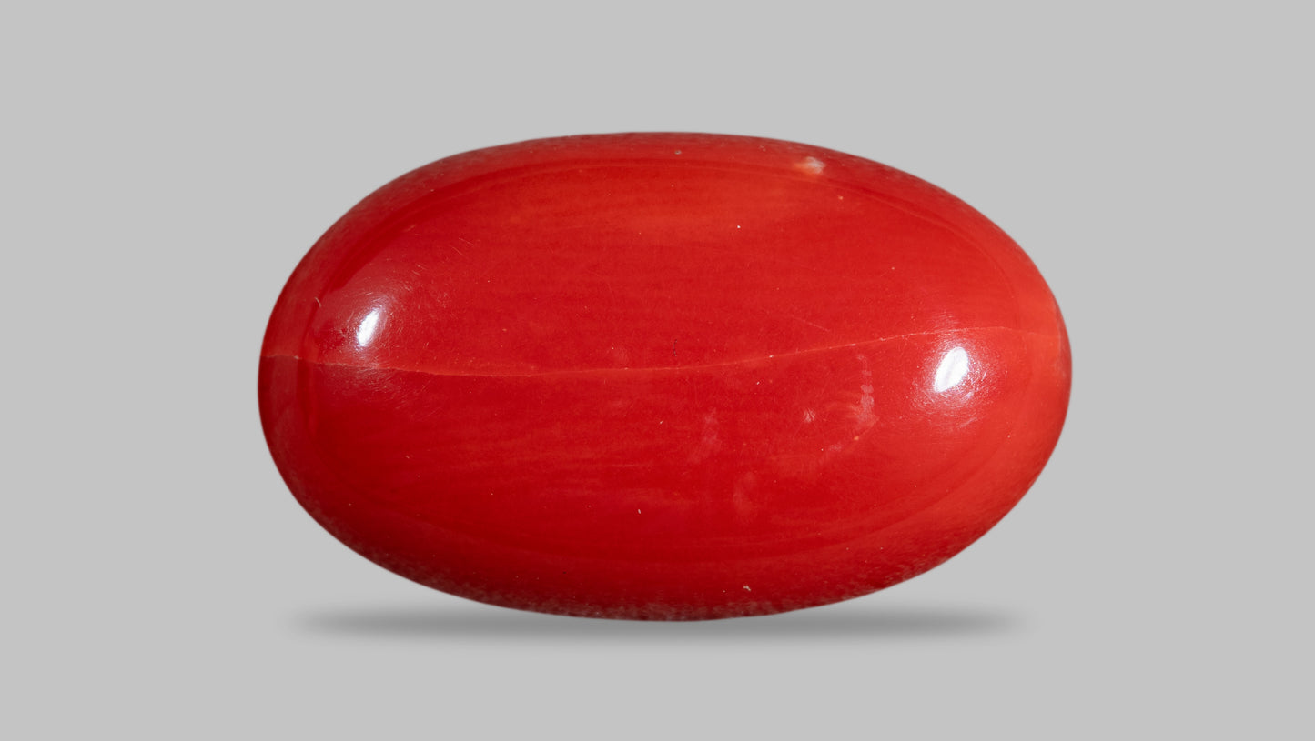 Natural Italian Red Coral (Moonga) 8.37 Carats