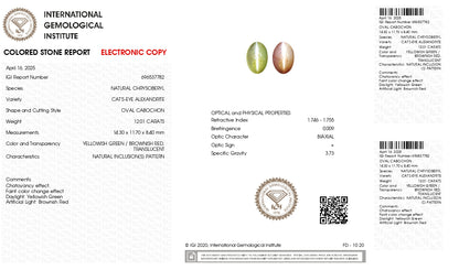 Natural Cat'S Eye (Lehsuniya) 12.01 Carats