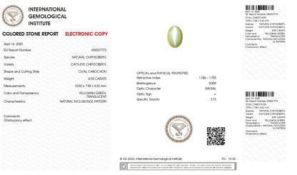 Natural Cat'S Eye (Lehsuniya) 4.95 Carats